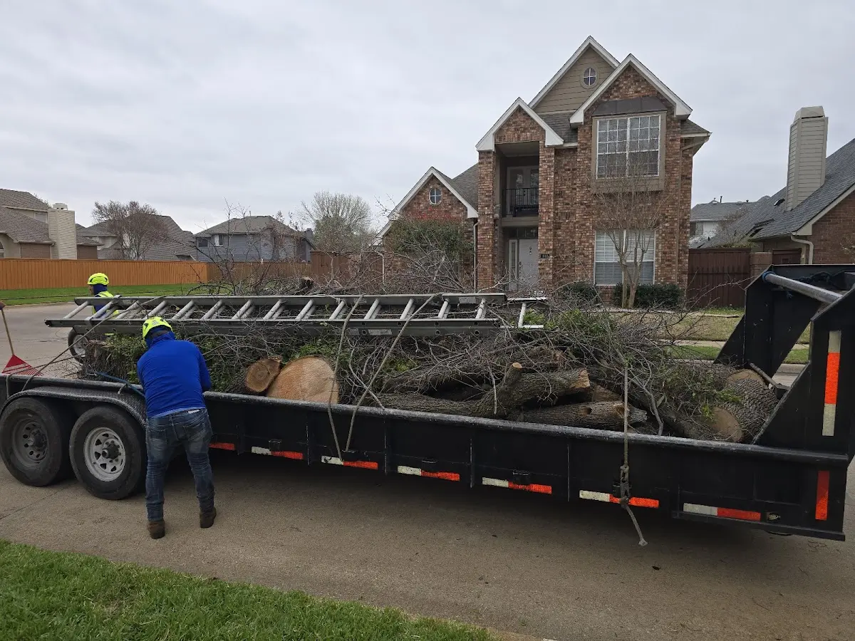 Expert Tree Fertilization with proper safety equipment in Upper Black Eddy